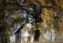 Virtuelle Spaziergänge in den ungarndeutschen Dörfern