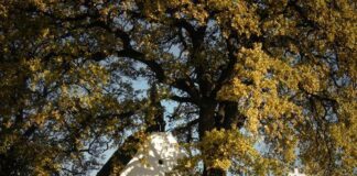 Virtuelle Spaziergänge in den ungarndeutschen Dörfern