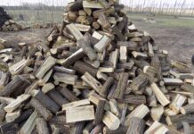 Brennholz: Stenczel Gábor