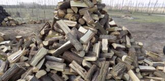 Brennholz im Herbst!