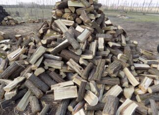 Brennholz im Herbst!