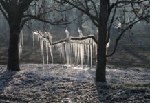 Der Frühling kommt mit Frost und Schnee