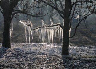Der Frühling kommt mit Frost und Schnee