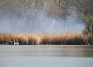 Schilf und Wald brannten auf etwa 20 Hektar am Vadkerter See