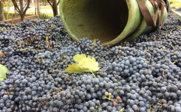 Die Kellerei Lantos in Soltvadkert