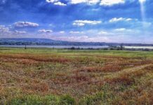 Verzeiht mir meine Dummheit, blind gewesen zu sein — Gedanken eines Zweiflers