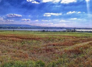 Verzeiht mir meine Dummheit, blind gewesen zu sein — Gedanken eines Zweiflers