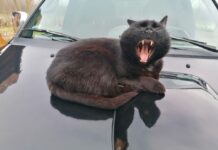 Wie beginnt so ein Tag auf einer Tanya?