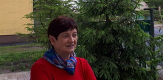 Immobilien auf Ihren Wunsch in der Ungarischen Tiefebene