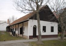 Hartauer Kräutermedizin