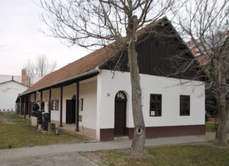 Hartauer Kräutermedizin