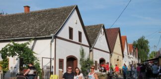 Verstehen Sie Nadwarisch? — bitte hier klicken!