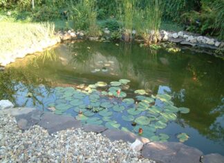 Wir möchten einen schönen Gartenteich!