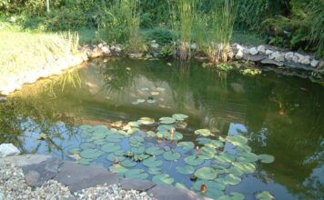 Wir möchten einen schönen Gartenteich!