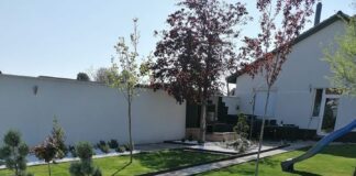 Möchten auch Sie einen schönen Garten?