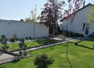 Möchten auch Sie einen schönen Garten?