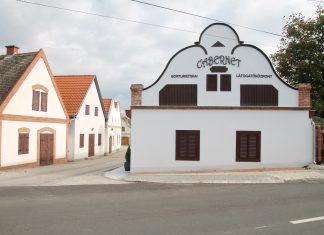 Touristenparadies mit modernem Empfangsgebäude in Hajós