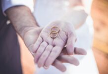 Haben Sie gewusst, dass… (II.)