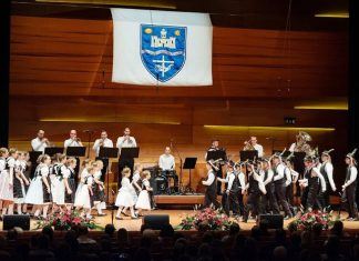 Modifizierung des Nationalitätengesetzes in Ungarn