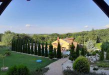 Immobilien Renovierung oder Neubau in Ungarn