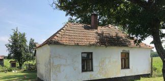 Tanya in der Tiefebene zu verkaufen