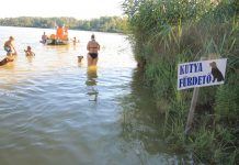 Badestelle für Hunde am Soltvadkerter See