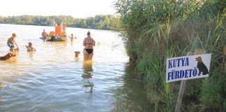 Badestelle für Hunde am Soltvadkerter See