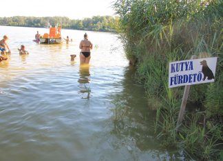 Badestelle für Hunde am Soltvadkerter See