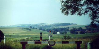 Ich will als Ausländer nach Ungarn einreisen. Aber wie?