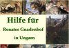 Österreichische Fellnasen – In großer Not ❤️ DIE JETZT IN UNGARN SIND ❤️