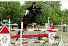 Programmangebot in Kiskunhalas für Oktober