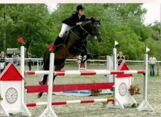 Programmangebot in Kiskunhalas für Oktober