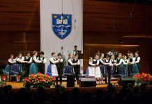 Ungarndeutsche Großveranstaltungen gelöscht — Hazai német rendezvények maradnak el