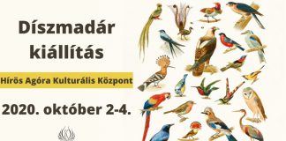 Ziervogelausstellung in Kecskemét am Wochenende