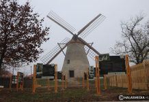 Alter-neuer Glanz: Die Windmühle der Familie Sáfrik in Kiskunhalas – Várja vendégeit a megújult halasi szélmalom