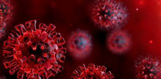 Ausnahmezustand in Ungarn ab Mitternacht