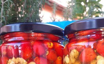 Hausgemachte Käse, saurer Salat und Kompott