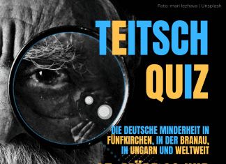 Spiel gemeinsam über Ungarndeutschtum – Közös internetes játék a magyarországi németekről