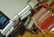 Die Harmonika und ihre Verwendung bei den Donauschwaben