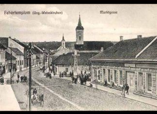 Der Komponist der damaligen Schlager: Alois Kutschera