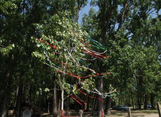 Ein Maibaum — Zauber am 1. Mai