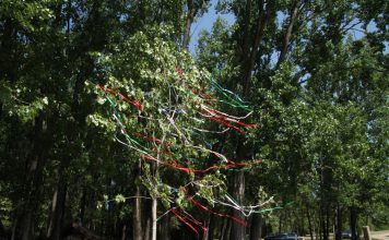 Ein Maibaum — Zauber am 1. Mai