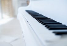 Gartenbauingenieur, Fotograf und Tänzer — Új fotostúdió nyílt Soltvadkerten