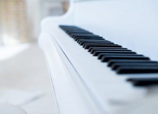 Gartenbauingenieur, Fotograf und Tänzer — Új fotostúdió nyílt Soltvadkerten