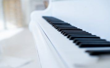 Gartenbauingenieur, Fotograf und Tänzer — Új fotostúdió nyílt Soltvadkerten