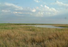 Ideen zu einem Frühlingsausflug