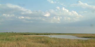 Ideen zu einem Frühlingsausflug
