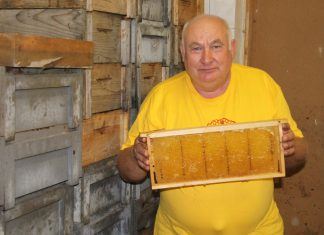 Unglücklicher Jahresbeginn für Imker