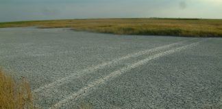 Lebensweisheiten für den schönen Sonntag