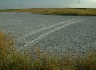 Lebensweisheiten für den schönen Sonntag